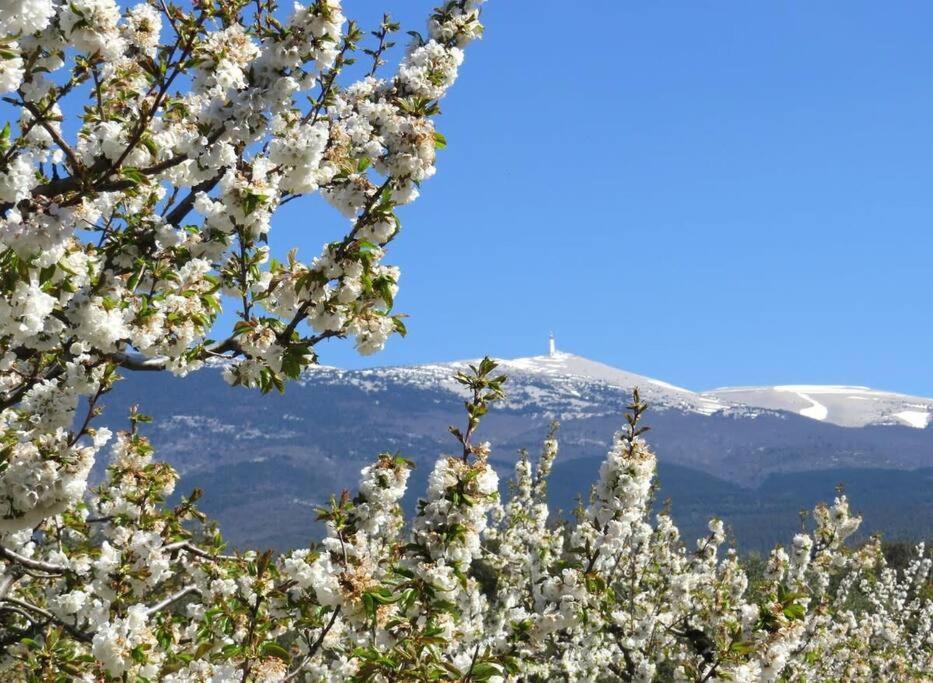 Les Tarraiettes Au Pied Du Luberon Villa Lourmarin Buitenkant foto